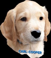20200106_CARL-COOPER